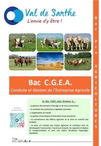 1re page BAC CGEA