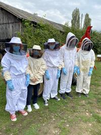 image sorte apiculture