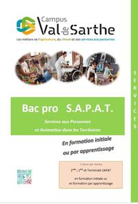 page presentation bac SAPAT